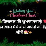 Merry Christmas Wishes in Hindi