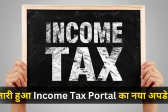 Income Tax Portal